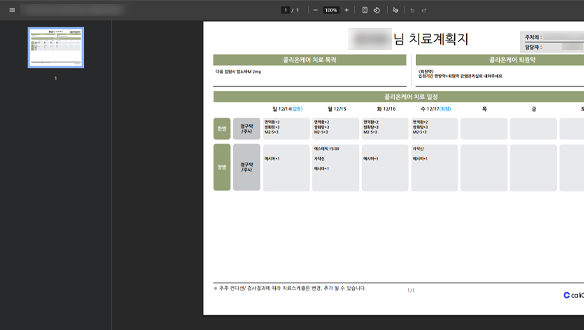 심사 문서 자동 생성 화면 이미지